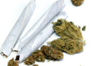 marijuana lawyer near me