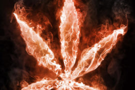Rahway marijuana charge NJ attorney near me